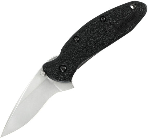 Kershaw® Scallion Linerlock A/O Black